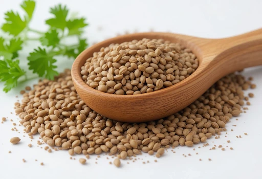 Coriander Seeds and Cilantro Leaves (Coriander) Leaves